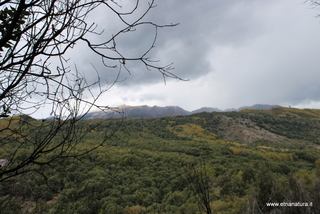 Grotta Comune monte Ilice
